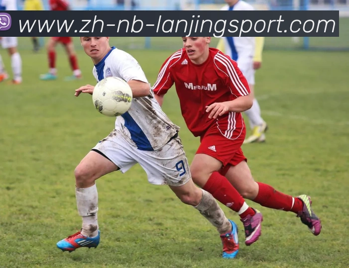 蓝鲸体育品牌故事